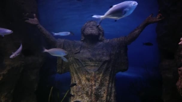 Statue Jésus Poissons Dans Aquarium Malte — Video