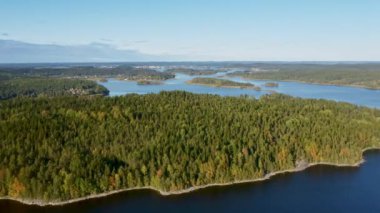 Karelia Cumhuriyeti 'ndeki Ladoga Gölü' ndeki orman manzarası. - Rusya. kamera ileri gider