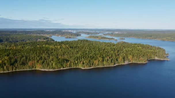 Vue Aérienne Forêt Sur Île Dans Lac Ladoga République Carélie — Video