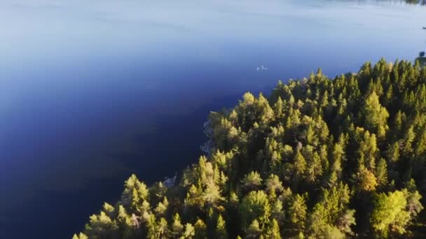 Vue Aérienne Lac Bleu Des Cygnes Forêt Verte Îles Ciel — Video