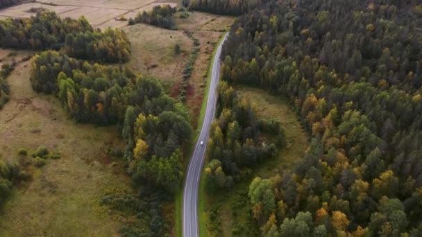 Auto Auf Der Autobahn Zwischen Herbstgrünem Gelbem Wald Herum Drohnenblick — Stockvideo
