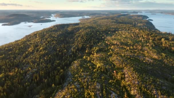 Vue Aérienne Par Drone Des Escarmouches Ladoga Forêt Sur Les — Video