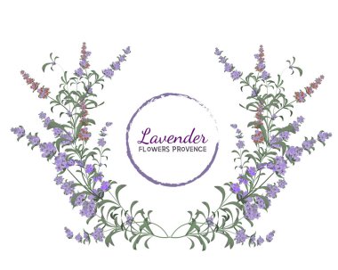 Vektör lavanta çelenk. Tüm elementler izole edilmiştir. Provence çiçekleri. Tasarım için öğeler.