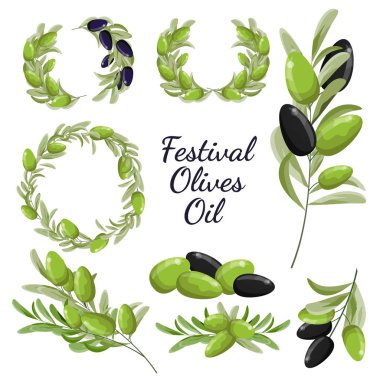 Vektör zeytinkoleksiyonu. Zeytin çelenkleri, zeytin dalları. Zeytin festivali. Tüm elementler izole edilmiştir. Yeşil ve siyah zeytin. Zeytin ve yaprak seti.