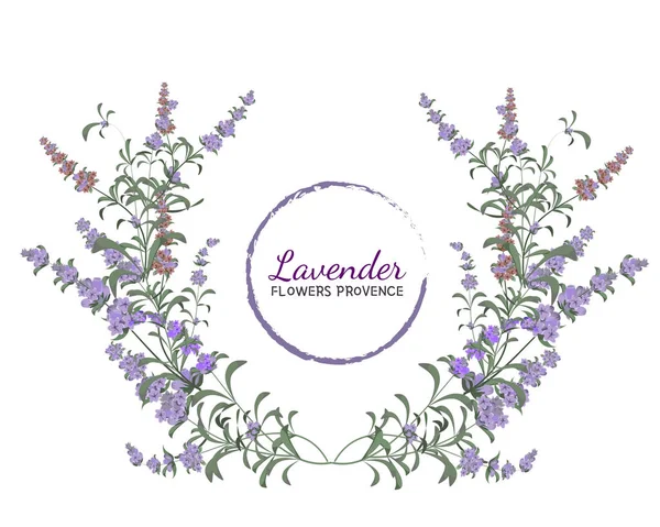 Vector Lavender Wreath All Elements Isolated Provencal Flowers Elements Design — Stock Vector