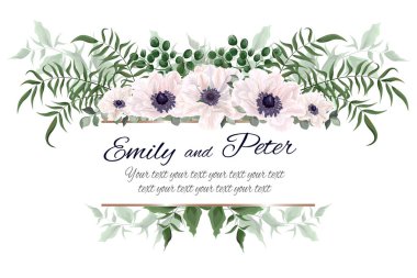 Kenarlık beyaz şakayığı 