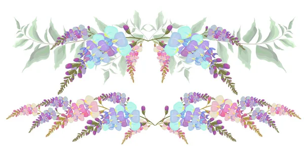 Conjunto de bordes vectoriales de flores de Wisteria. Todos los elementos están aislados . — Archivo Imágenes Vectoriales