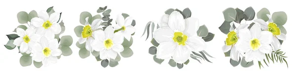 Vector flower set. Beautiful white daffodils. Different plants and leaves, eucalyptus. Flowers on a white background. — Stock Vector