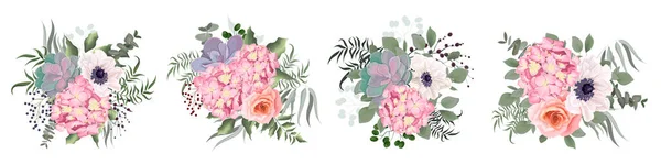 Vector flowers on a white background. Lush pink hydrangea, roses, anemones, succulent, various leaves and plants. — Stock Vector