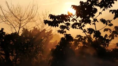 Sabah çimento yerdeki su damlayan