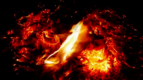 Morgon Elden Att Värma — Stockvideo