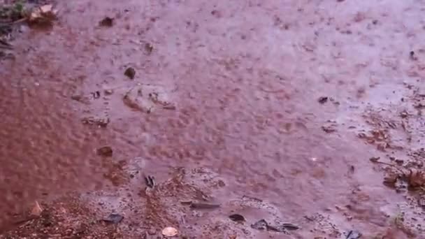 La pluie tombe sur le sol 