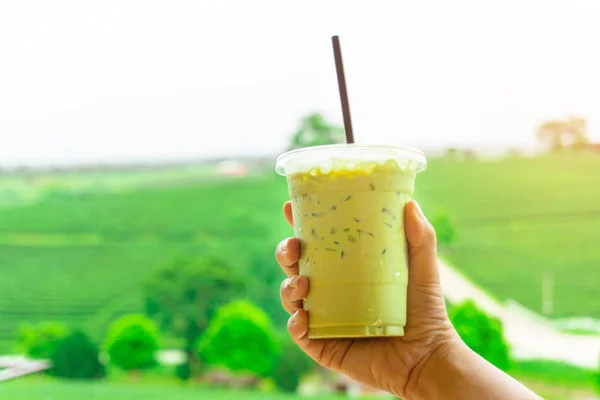 Nahaufnahme Junge Asiatische Frau Hand Hält Zum Mitnehmen Plastikbecher Mit — Stockfoto