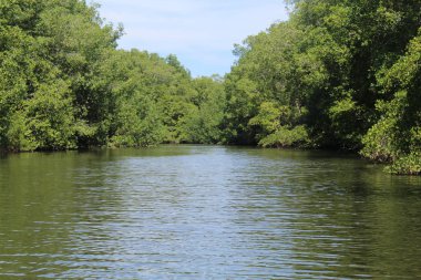 El Salvador'da Nehri