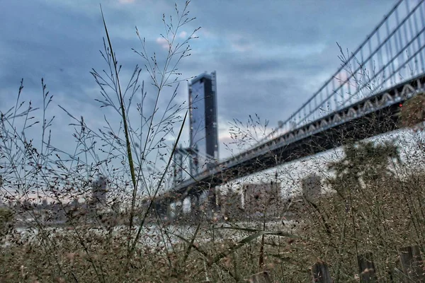 Manhattan Bridge seen through some weeds