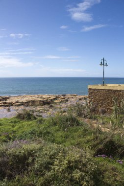 Praia da Luz, Algarve, Portekiz plaj büyüyen çiçegi