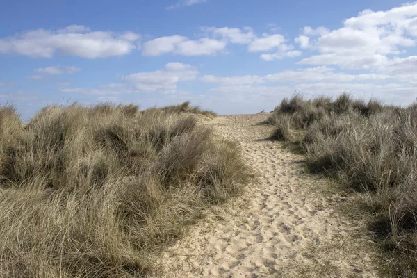 Walberswick Plajı'na giden patika, Suffolk, İngiltere