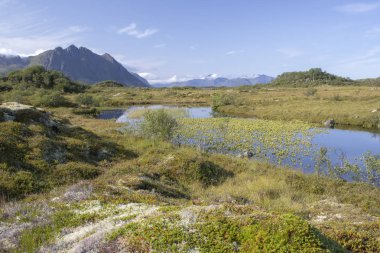 Vagan, Lofoten Adaları, Norveç, İskandinavya