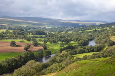 Rives Tees 'i çevreleyen kırsal bölge Bowlees, County Durham, İngiltere, Birleşik Krallık