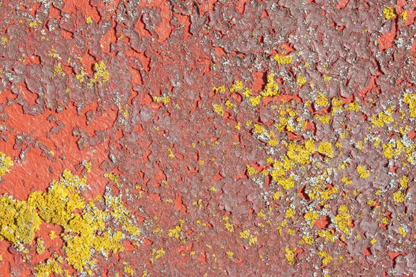 黄色のリヒーンと赤の剥離塗料の質感と色を示す閉鎖 — ストック写真