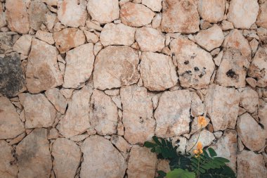 Taş duvar ve sarı çiçek arka plan