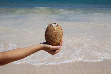 Tropikal taze hindistan cevizi el okyanus arka plan 