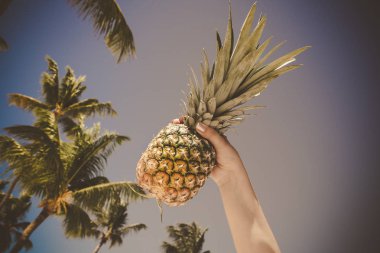 Tropikal ananas palmiye ağaçları arka planda tutan el