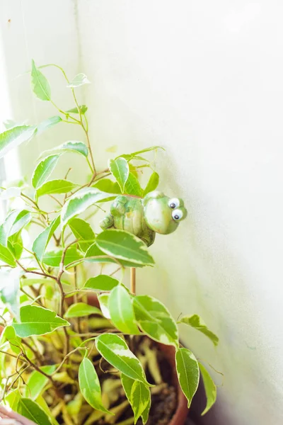 bir çiçekçi dükkanı flowerin