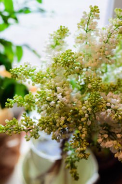 buket çiçek leylak, gül, sümbül, nergis Düğünçiçeği, Lale, Bush gül, Kasımpatı, okaliptüs, anemon çiçeği, Şakayık bir çiçekçi dükkanı