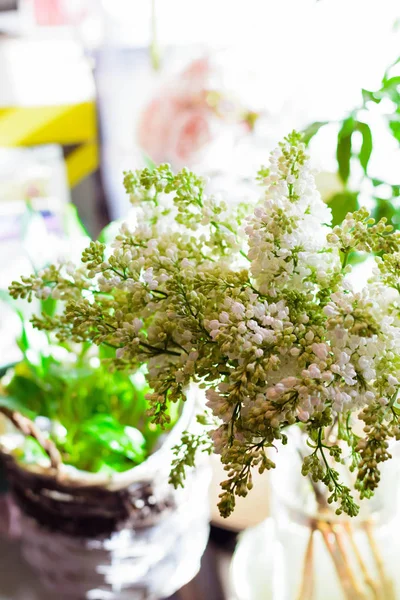 花丁香 水仙花 风信子 兰努库鲁斯 郁金香 布什玫瑰 牡丹在花店 — 图库照片