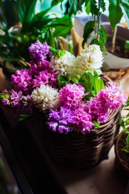 buket çiçek leylak, gül, sümbül, nergis Düğünçiçeği, Lale, Bush gül, Kasımpatı, okaliptüs, anemon çiçeği, Şakayık bir çiçekçi dükkanı