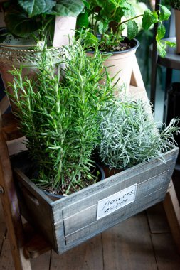 çiçek buketdüğün salonu güller anemone lale ranunculus ayçiçeği bahçe yeşil