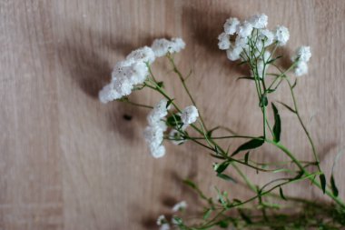 en güzel çiçekler, gelin veya damat için bir festival çiçekçilik mağazası veya düğün salonu için restoranın iç bacak çiçek muhteşem buketleri, bir gelin buketi, bütan