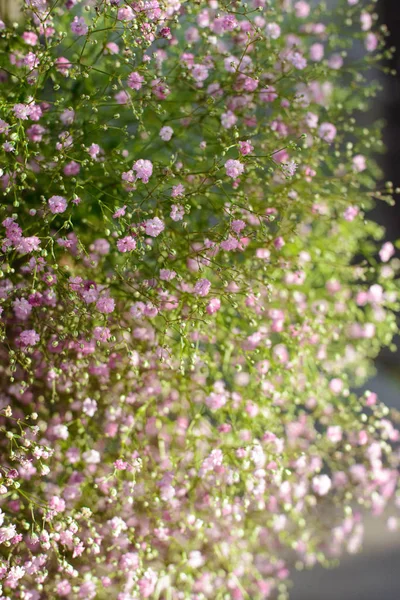 最美丽的鲜花 华丽的花束在餐厅内部的腿为节日花店或婚礼沙龙的新娘或新郎 新娘花束 丁氨酸 — 图库照片