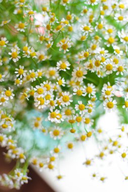 en güzel çiçekler, gelin veya damat için bir festival çiçekçilik mağazası veya düğün salonu için restoranın iç bacak çiçek muhteşem buketleri, bir gelin buketi, bütan