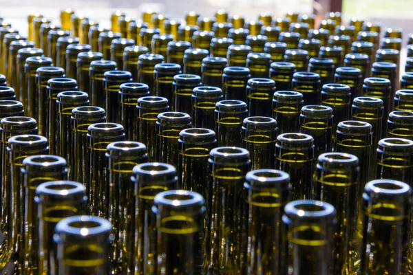 Large group of green recycled glass wine bottles