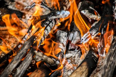 Gece kamp ateşi ormandaki.
