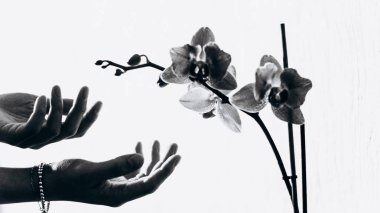 Kendi portresi: el ve orkide