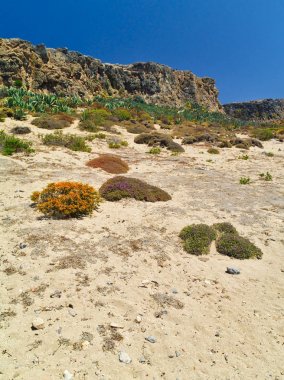 Gramvousa adasından manzara, Girit, Yunanistan.Renkli çalılar bitkiler ve dik kayalar agav.