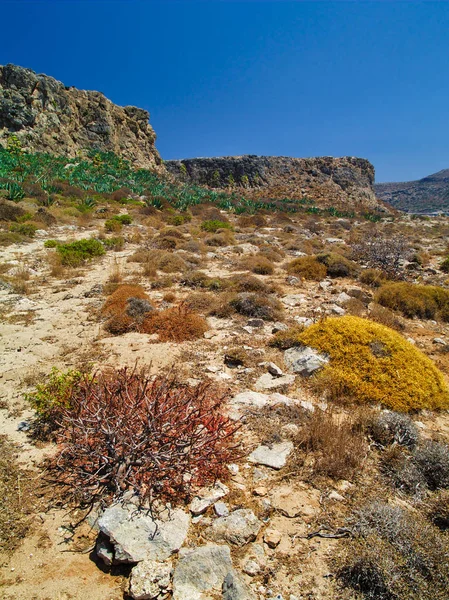 Landschaft Von Gramvousa Insel Beton Griechenland Bunte Büsche Agave Pflanzen — Stockfoto
