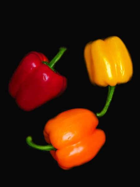 Vivid colorful shiny peppers on black background. Vegetables forming a circle.