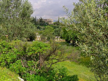 Atina'daki Hephaestus Tapınağı, Yunanistan. Zeytin ağaçları bulutlu gökyüzü, parlak ışık ve ağaç dalları ile çerçeveli antik Yunan tapınağı ile Manzara.
