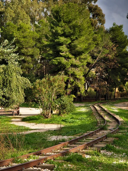 Small Railway Beautiful Park Pine Olive Trees Day Light Nice — Stock Photo, Image