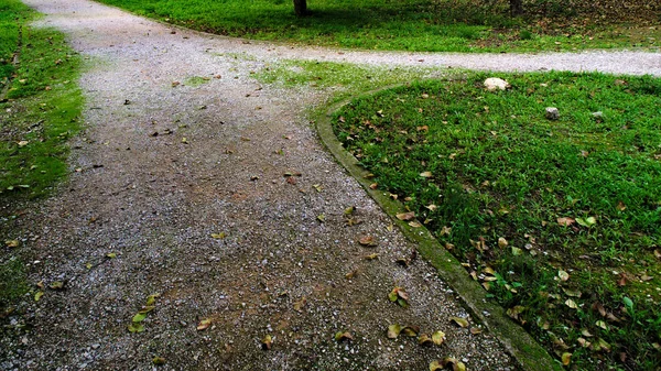 Park Curved Soil Pathways Trees Green Low Grass Panorama Photo — Stock Photo, Image