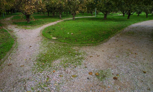 Park Curved Soil Pathways Trees Green Low Grass Panorama Photo Royalty Free Stock Photos