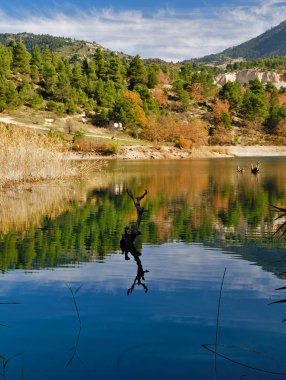 Yunanistan'ın Mora kentinde Helmos dağının kıyısındaki Tsivlou gölünde ölü ağaç. Canlı doğa manzarası.
