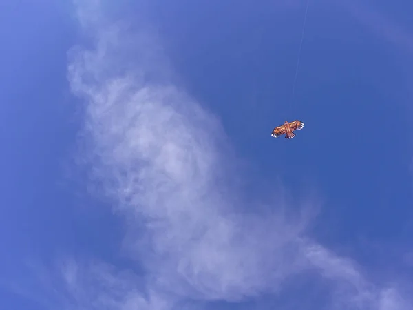 Cerf Volant Volant Ciel Bleu Profond Avec Quelques Nuages Propre — Photo