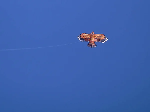 Cerf Volant Volant Ciel Bleu Profond Avec Quelques Nuages Propre — Photo