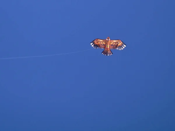 Cometa Volando Cielo Azul Profundo Con Algunas Nubes Vacaciones Limpias — Foto de Stock