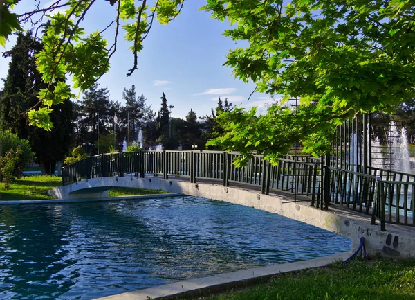 Smal pedestrian bridge leading to small island inside a park lake. Sycamore tree leaves blue sky. Alsos Filadelfeias, Athens, Greece.